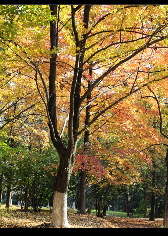 _mg_8185.jpg