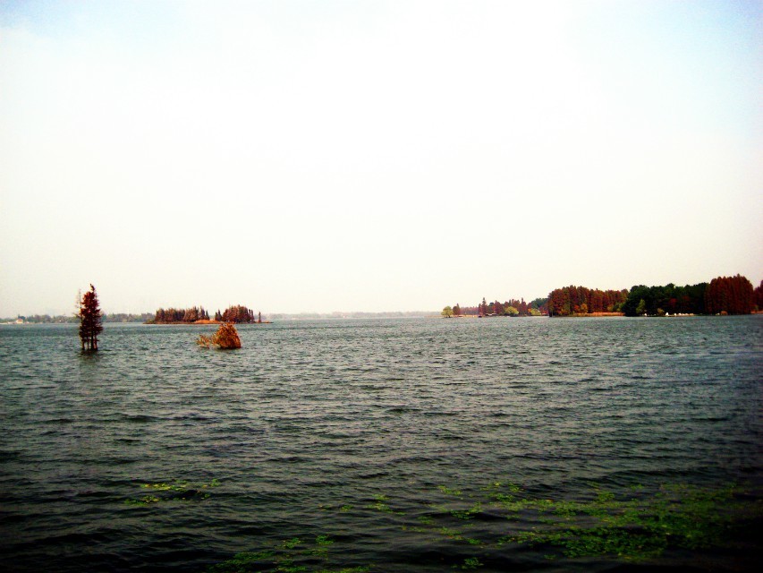 qqͼƬ20131129073758.jpg