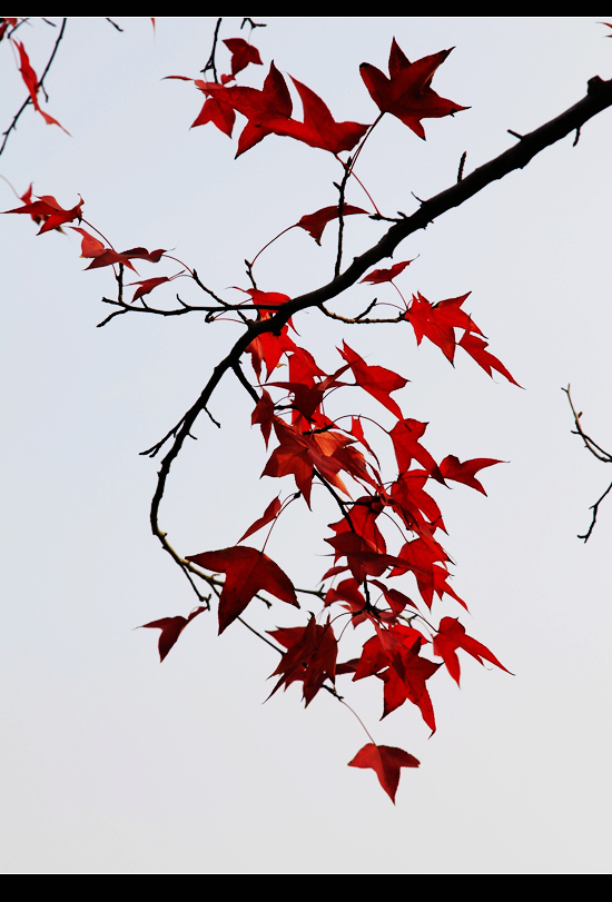 _mg_7630.jpg