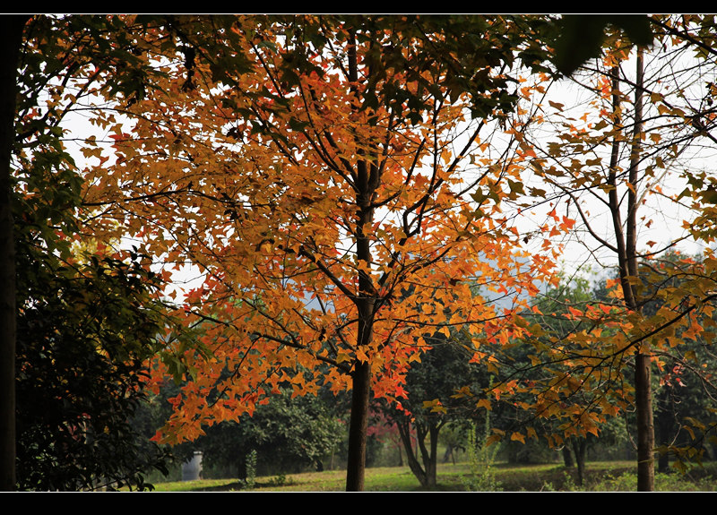 _mg_7666.jpg