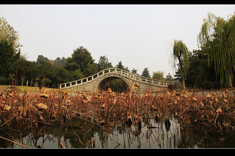 _mg_7680.jpg