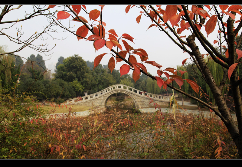 _mg_7678.jpg