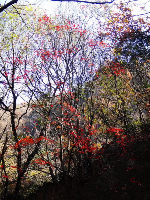 dsc04746.jpg