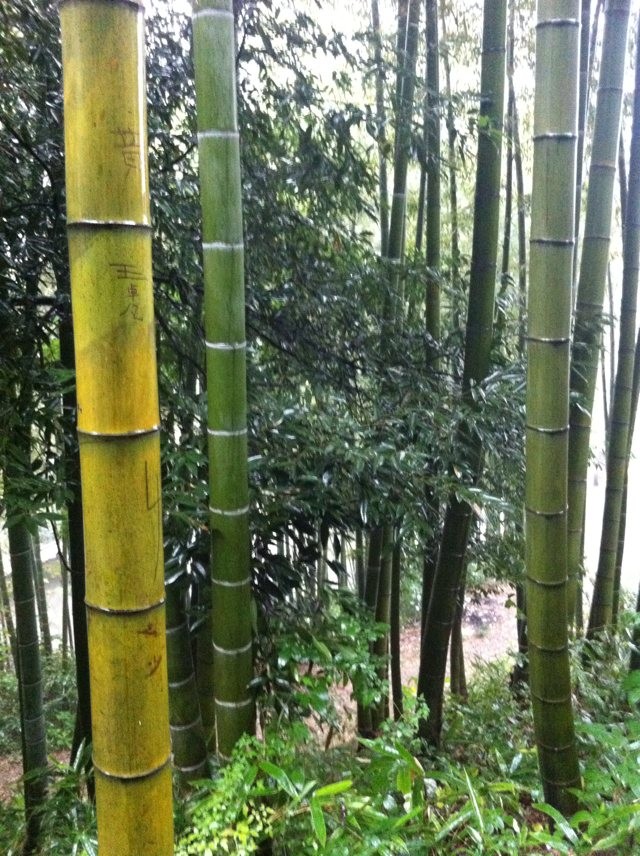 qqͼƬ20131104075611.jpg