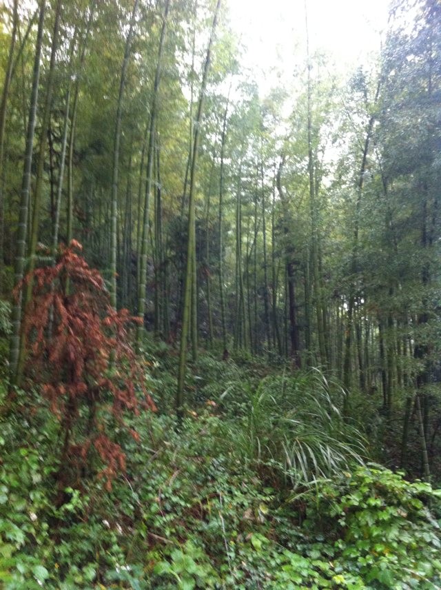 qqͼƬ20131104075623.jpg
