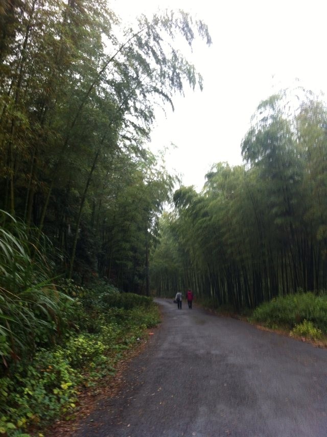 qqͼƬ20131104075630.jpg