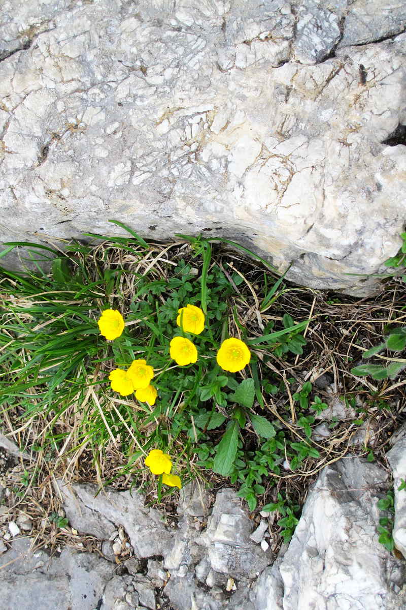 img_0004_����.jpg