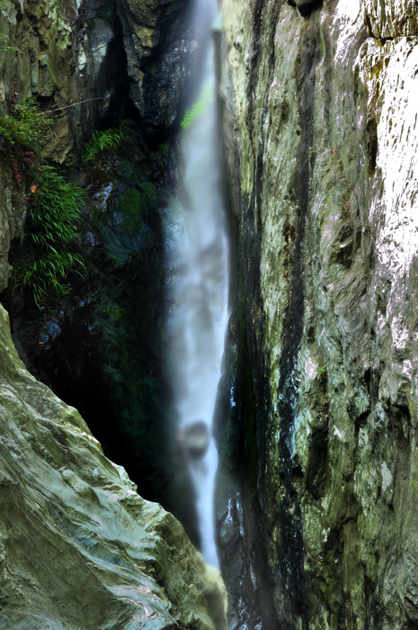 _dsc3210.jpg