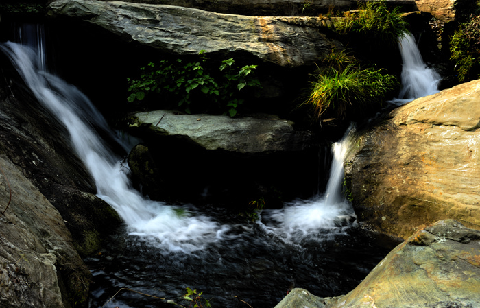 _dsc3218.jpg