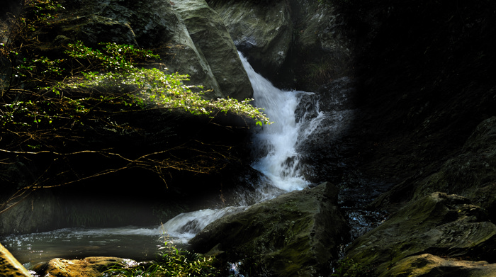 _dsc3277.jpg