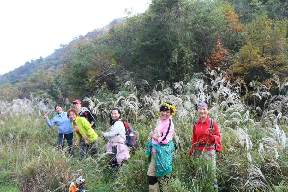 qqͼƬ20131105024301.jpg