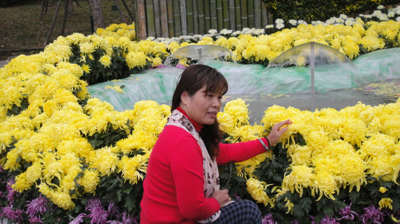 dsc05244.jpg