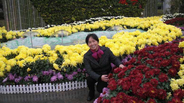 dsc05247.jpg
