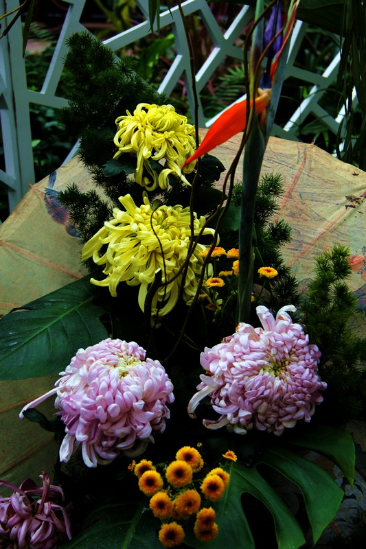 img_5032.jpg