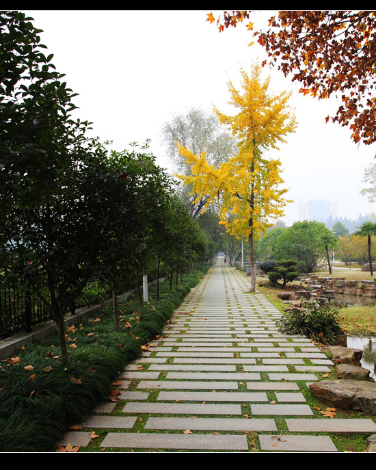 _mg_7763.jpg