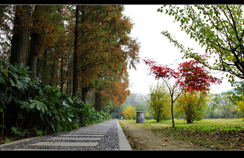 _mg_7805.jpg