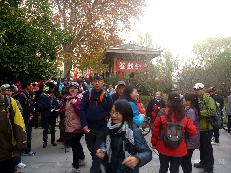 p1170466_.jpg