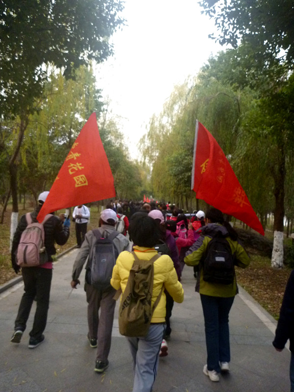 p1170473_.jpg