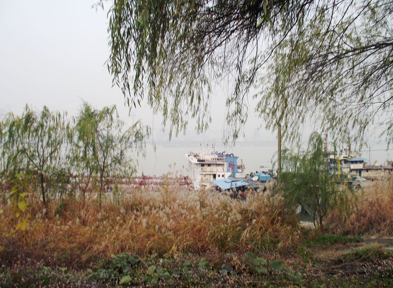 dscf7051.jpg