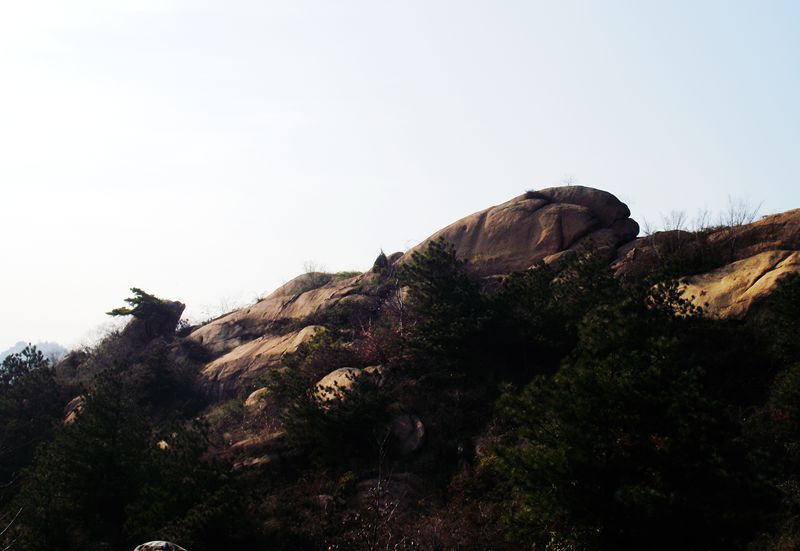 dscf0299.jpg