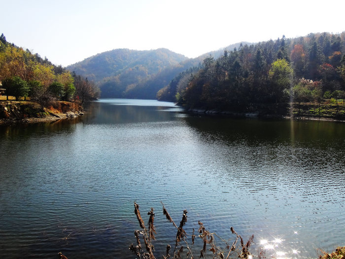 dsc04758.jpg
