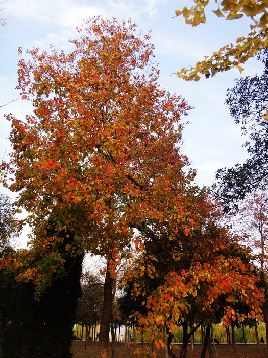 dsc04861.jpg