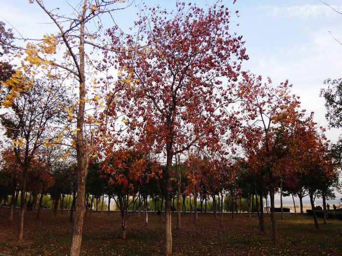 dsc04857.jpg