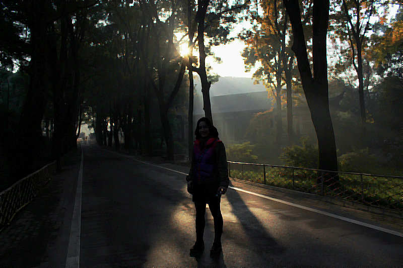 2013,12,1ĥɽͽ 008.jpg