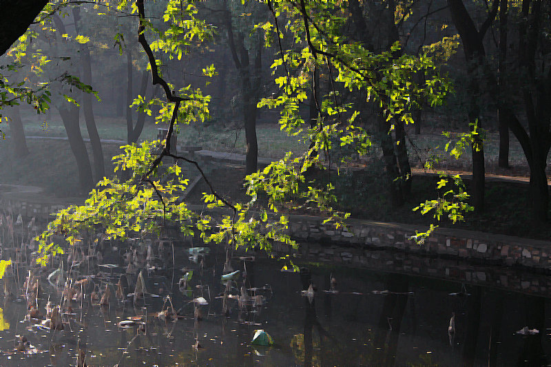 2013,12,1ĥɽͽ 051.jpg