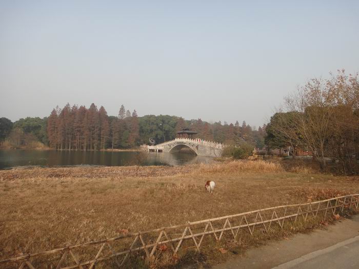 794-24.jpg