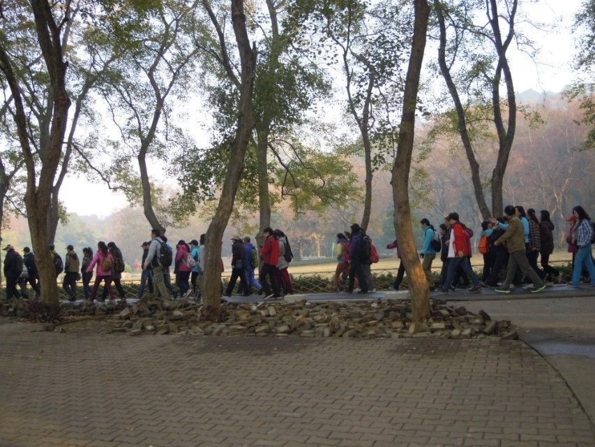54.jpg
