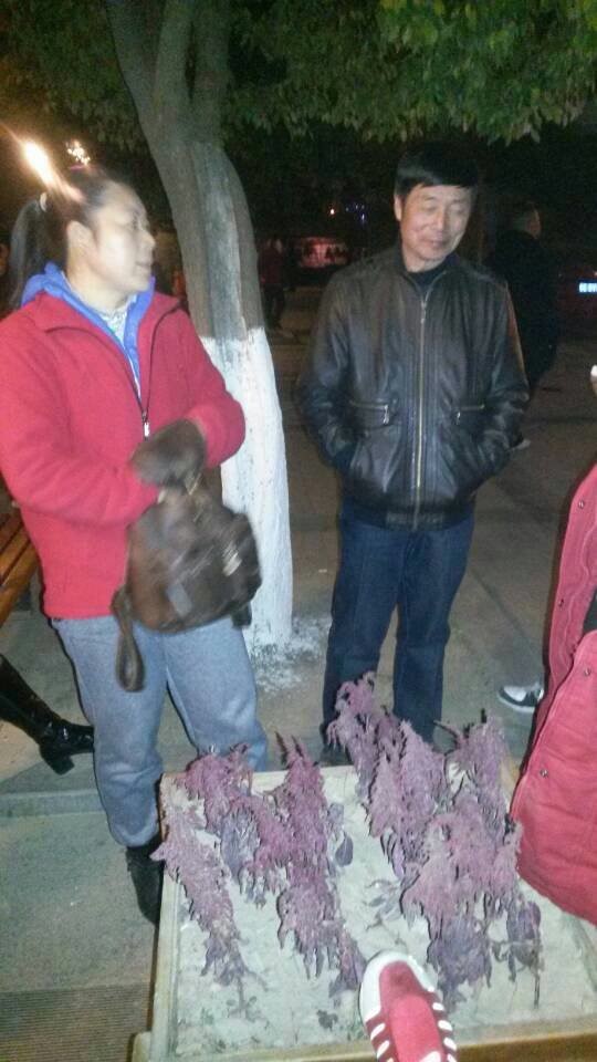 qqͼƬ20131226123804.jpg