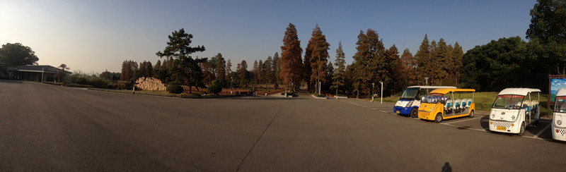 img_2443_.jpg