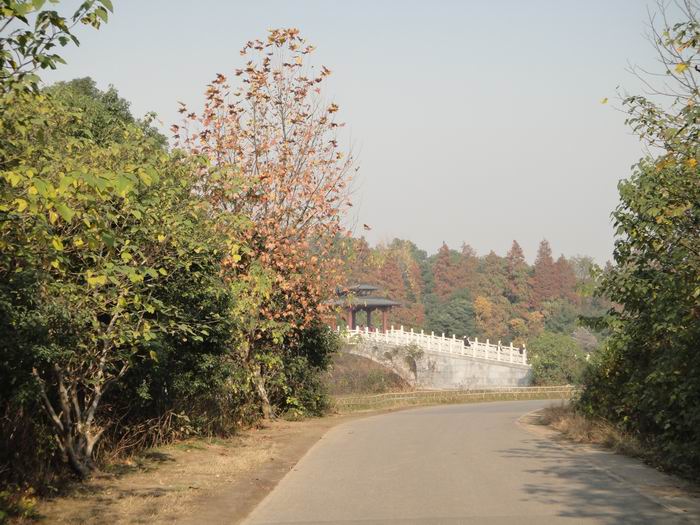 782-12.jpg