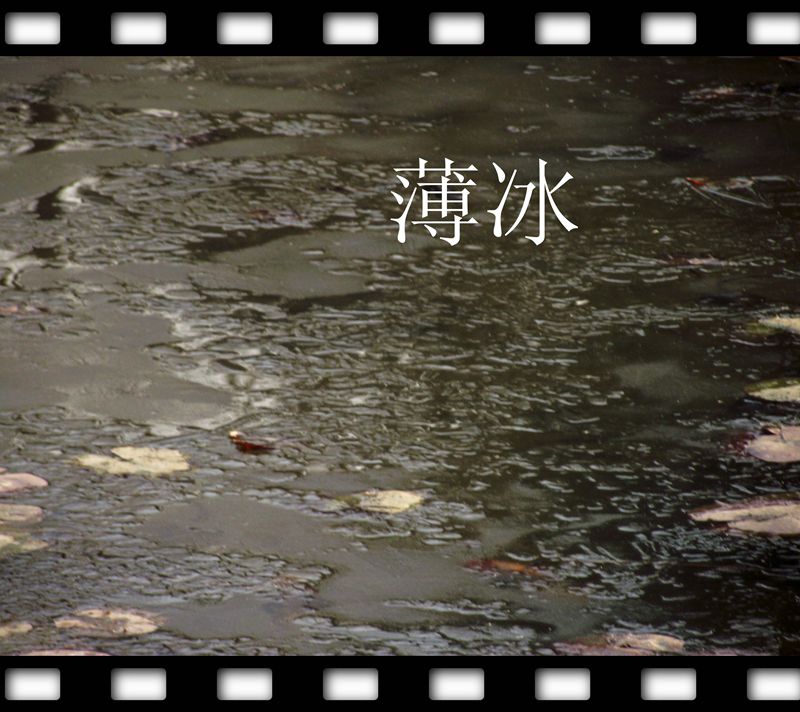 dscf0037.jpg