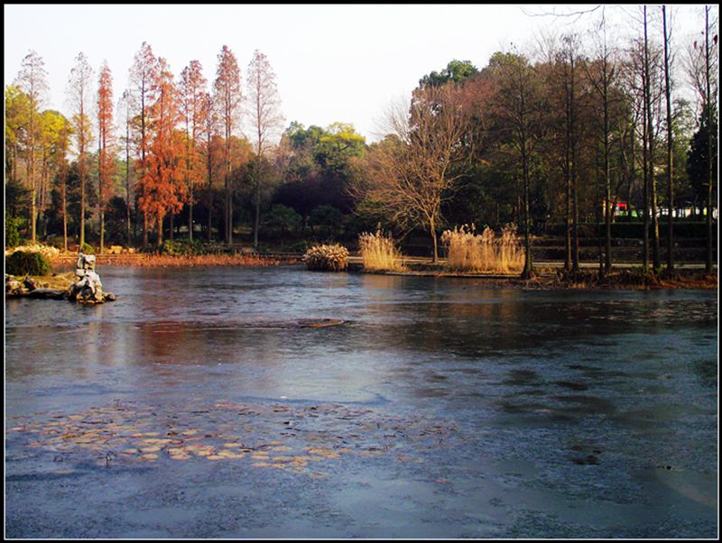 dscf0079.jpg