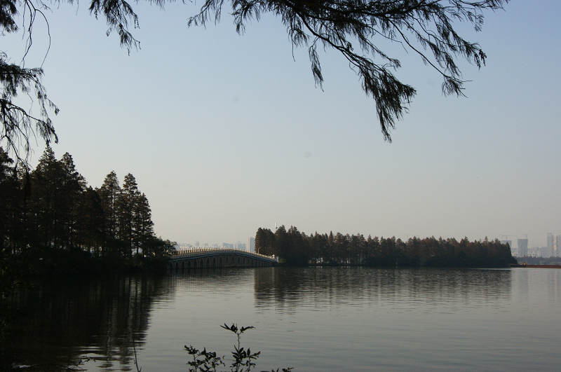 dsc05646.jpg