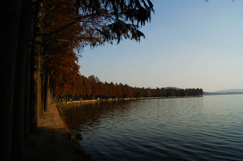 dsc05671.jpg