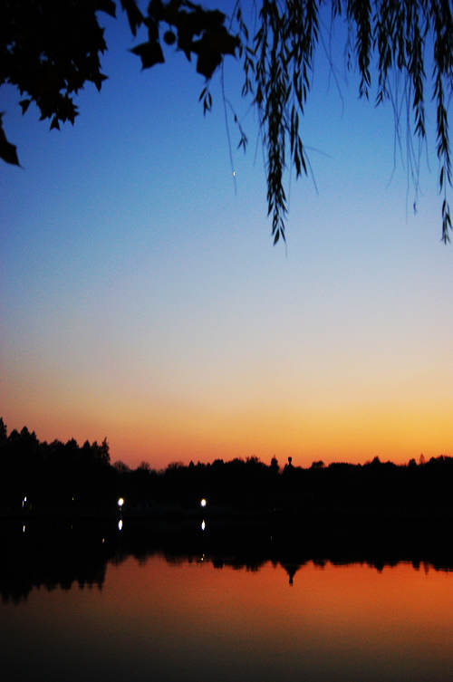 dsc05774.jpg