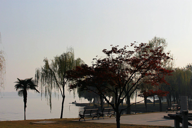 2013,12,1ĥɽͽ 060.jpg