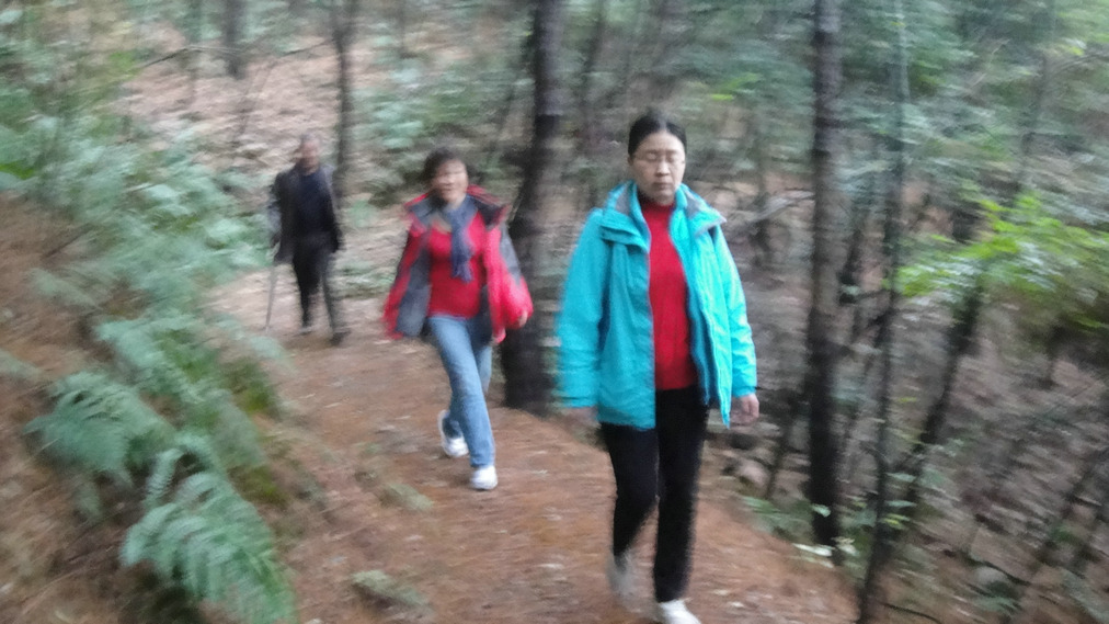 dsc06708.jpg