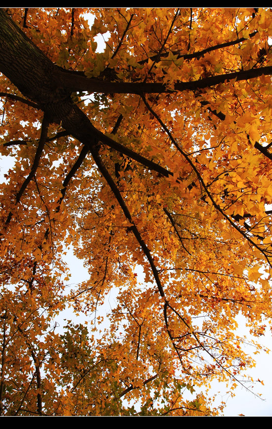 _mg_8265.jpg