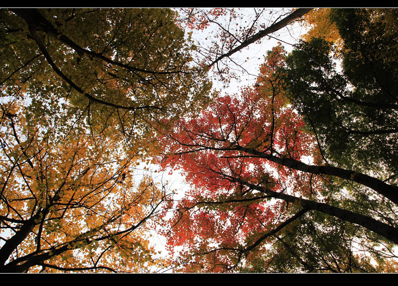 _mg_8296.jpg
