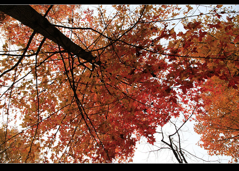 _mg_8316.jpg
