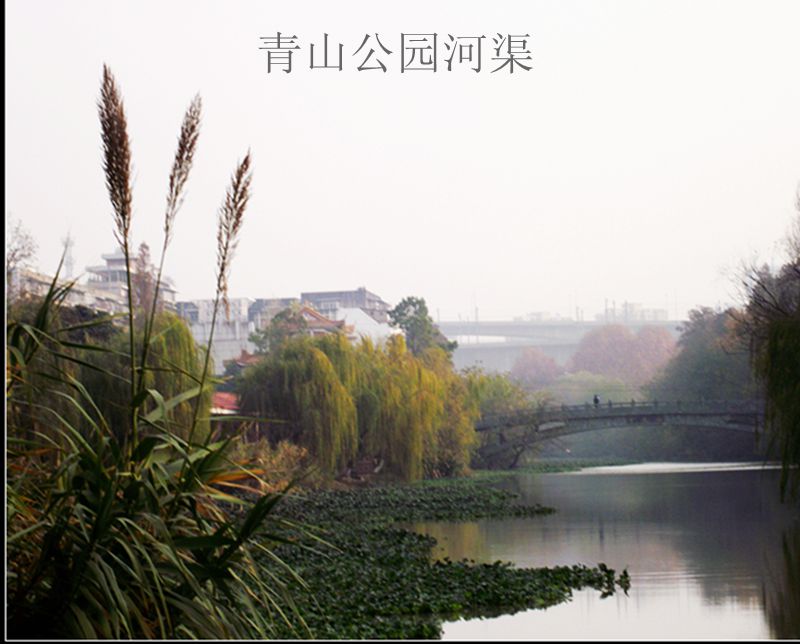 dscf7002.jpg