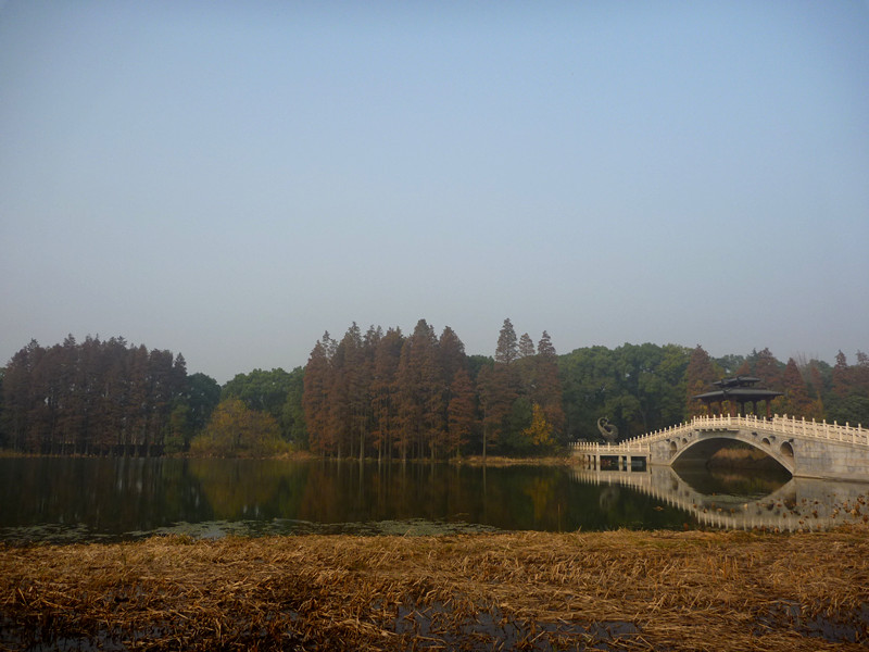 p1170429_.jpg