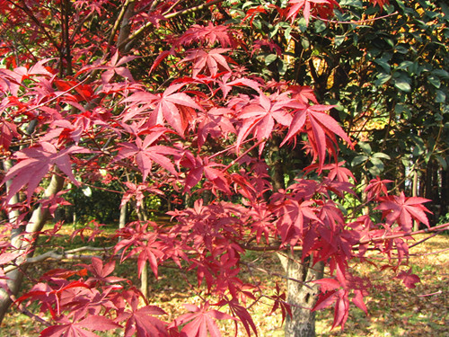 m12 272_.jpg