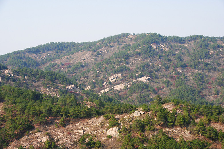 dsc_0083_.jpg