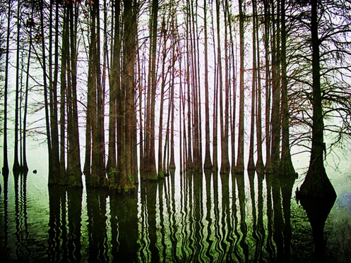 2013.01.30ĥɽͽ09.jpg