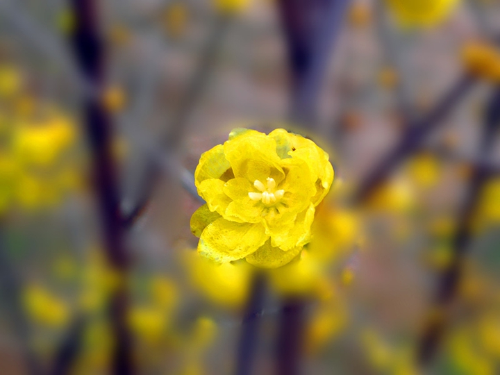2013.01.30ĥɽͽ12.jpg